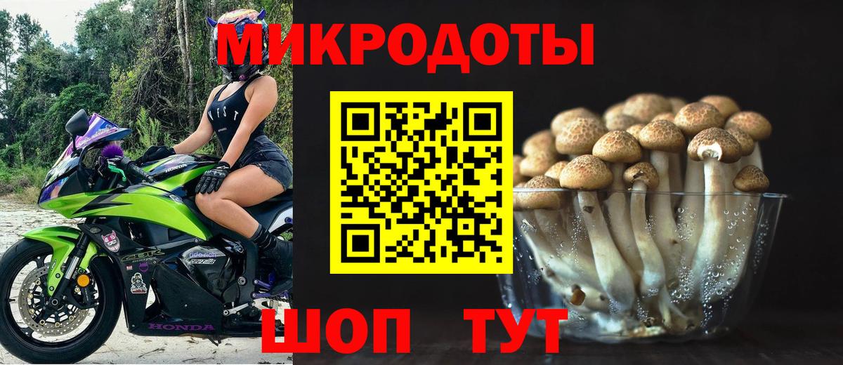 Псилоцибиновые грибы Cubensis Ртищево