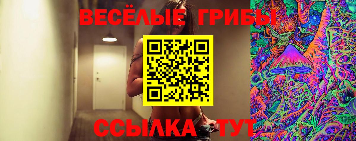 Псилоцибиновые грибы Magic Shrooms  Галлюциногенные грибы Cubensis  Ртищево  Вход с VPN 